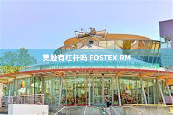 美股有杠杆吗 FOSTEX RM