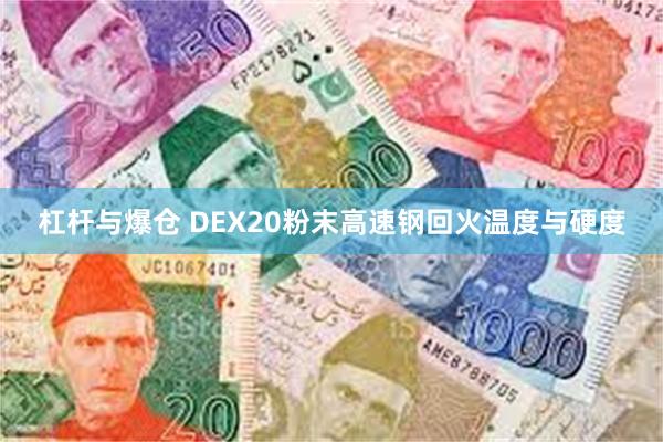 杠杆与爆仓 DEX20粉末高速钢回火温度与硬度