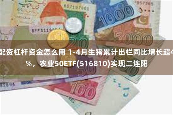 配资杠杆资金怎么用 1-4月生猪累计出栏同比增长超4%，农业50ETF(516810)实现二连阳