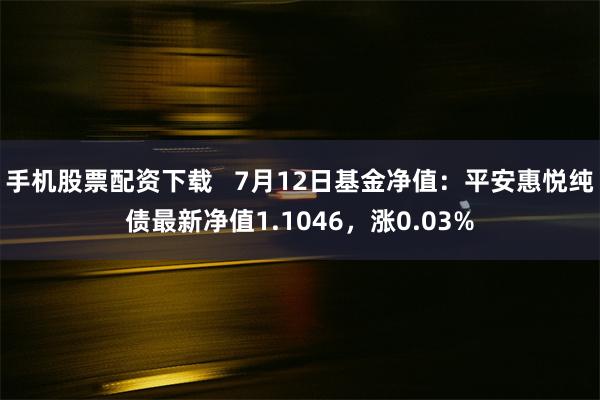 手机股票配资下载   7月12日基金净值：平安惠悦纯债最新净值1.1046，涨0.03%