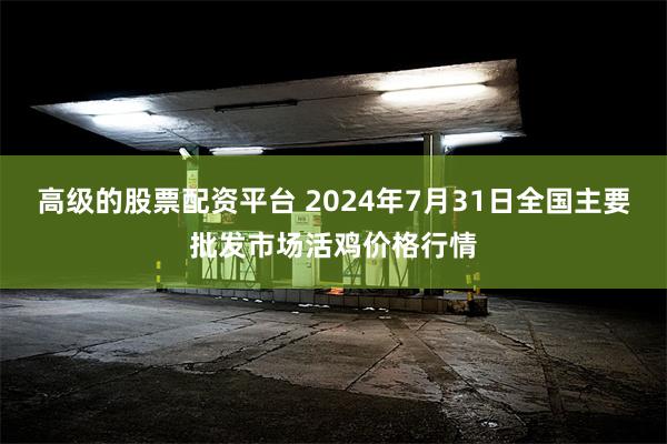 高级的股票配资平台 2024年7月31日全国主要批发市场活鸡价格行情