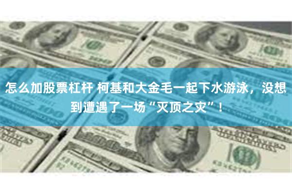 怎么加股票杠杆 柯基和大金毛一起下水游泳，没想到遭遇了一场“灭顶之灾”！