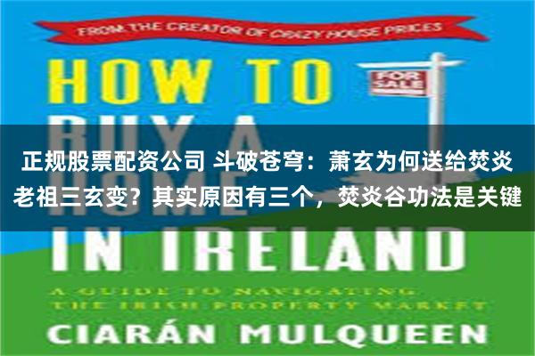 正规股票配资公司 斗破苍穹：萧玄为何送给焚炎老祖三玄变？其实原因有三个，焚炎谷功法是关键